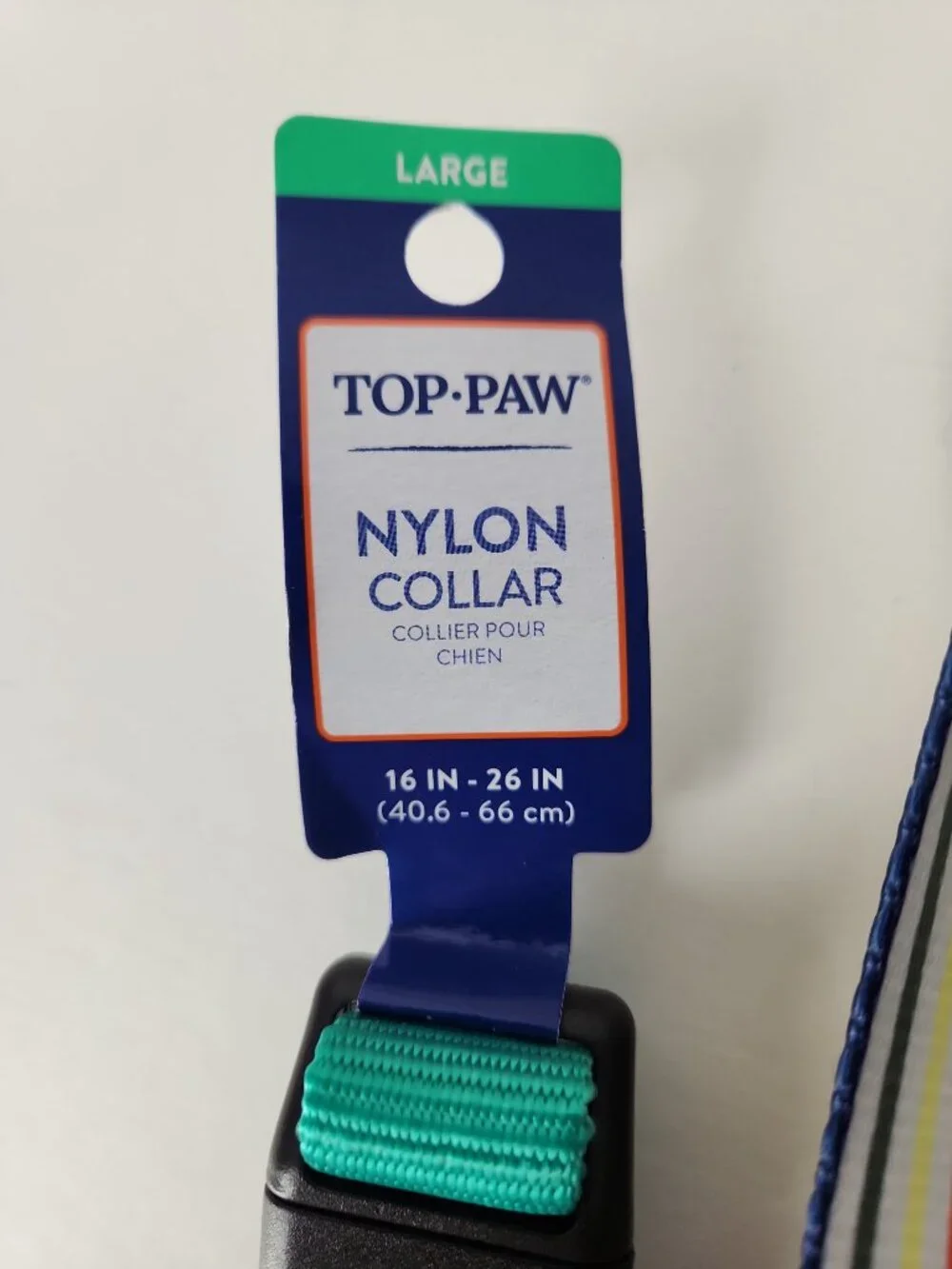 Nylon Dog Collar Large Teal Gunmetal and Rainbow Stripe Leash 4ft Top Paw New